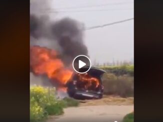 VIDEO: IDIOTER! Derfor sætter de ild til bilen!